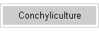 Conchyliculture