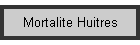 Mortalite Huitres